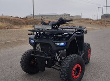 ATV, 2025 il