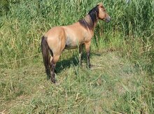 At