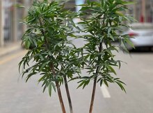 Süni ağac “Nerium Oleander”