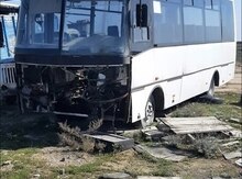 Avtobus Ashok Leyland, 2012 il