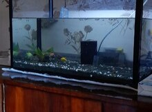 Akvarium