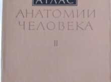 Атлас анатомии человека
