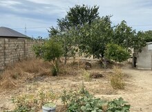 3 sot torpaq sahəsi, Binəqədi qəs.