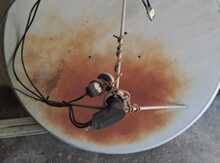 Antena