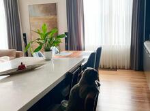 3-otaqlı yeni tikili, Tələt Şıxəliyev küç., 138 m²