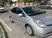 "Toyota Prius" icarəsi