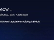 "Steam" hesabı