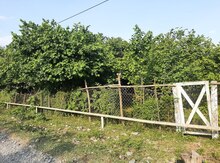 43 sot torpaq sahəsi, Qəbələ ş.