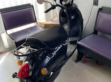 Moped, 2024 il
