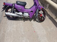 Moped, 2023 il