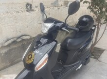 Moped Sweet, 2018 il