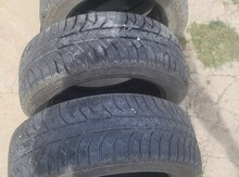 "Lassa" şinləri 205.55 R16