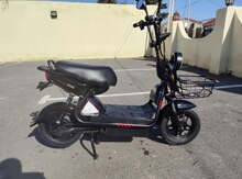 Elektrik moped, 2024 il