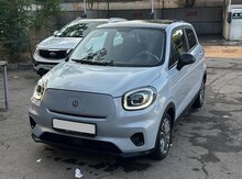 Avtomobil icarəsi