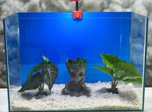 Akvarium 
