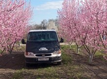 Ford Transit, 2000 il