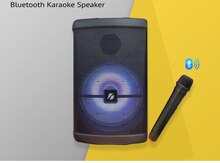 KTS-1279 8 inch Bluetooth Karaoke Speaker