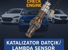 Katalizator sensoru