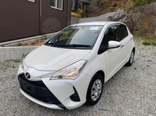 "Toyota Vitz" icarəsi