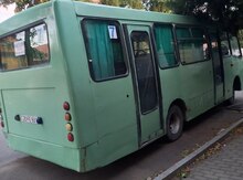 Avtobus "İsuzu", 2008 il