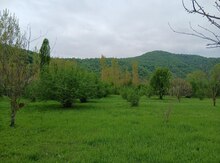 23 sot torpaq sahəsi, Qəbələ r