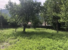 4 sot torpaq sahəsi, Qax r.