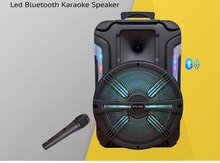 Bluetooth karaoke speaker "KTS-1200S 12 İnch Led"