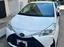 "Toyota Vitz" icarəsi
