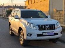 Toyota Prado, 2010 il
