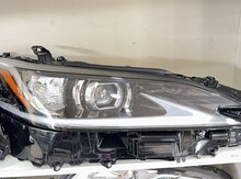 "Lexus" farası