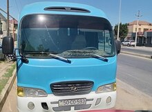 Hyundai, 2007 il