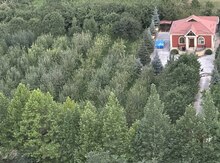 Bağ evi kirayə verilir, Qusar r.