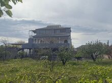 Bağ evi, Novxanı qəs
