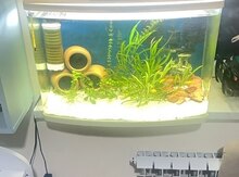 Akvarium 