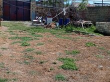 4500 sot torpaq sahəsi, Nardaran qəs.