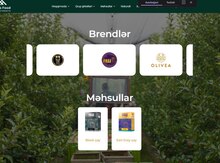 Website'ların hazırlanması
