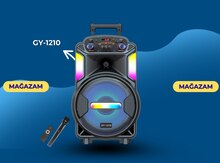 Dinamik "GY-1210"