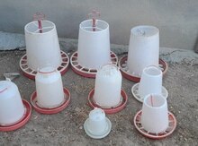 Cücələrə yem və su qabları