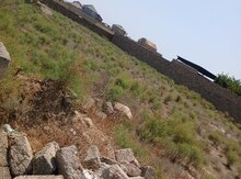 14 sot torpaq sahəsi, Türkan qəs.