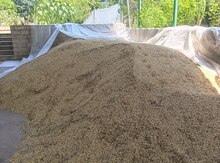 Arpa və buğda