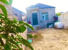 Həyət evi kirayə verilir., Binə qəs. 