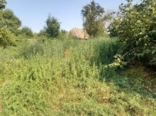 122 sot torpaq sahəsi, Qəbələ ş.