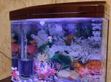 Akvarium