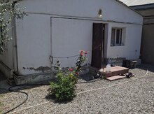 Həyət evi kirayə verilir, Badamdar qəs.