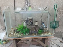 Akvarium