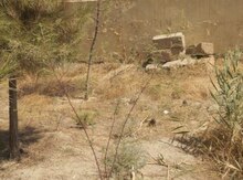 6 sot torpaq sahəsi, Şirvan ş.