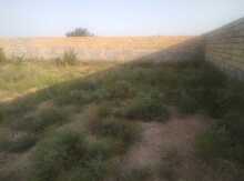 6 sot torpaq sahəsi, Sumqayıt ş.