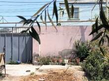 1 sot torpaq sahəsi, Biləcəri qəs.