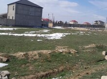 6 sot torpaq sahəsi, Saray qəs.