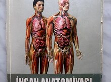 İnsan Anatomiyası 2-ci cild